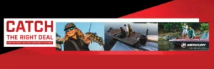 Read more about the article Catch the right deal