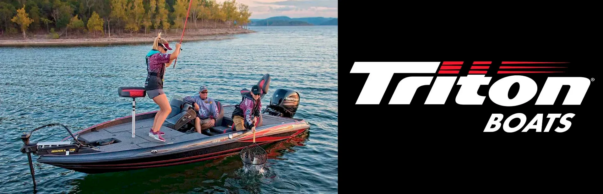 Read more about the article TRITON OWNERS REWARDS